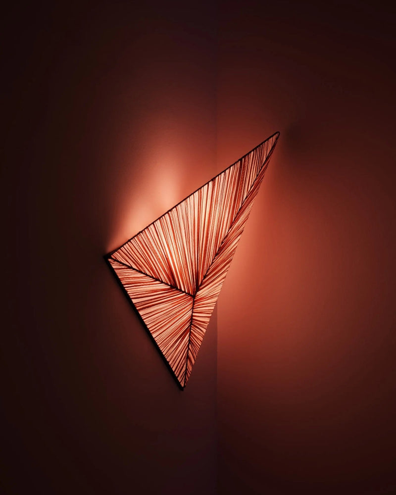 Zooid Wall & Ceiling Light