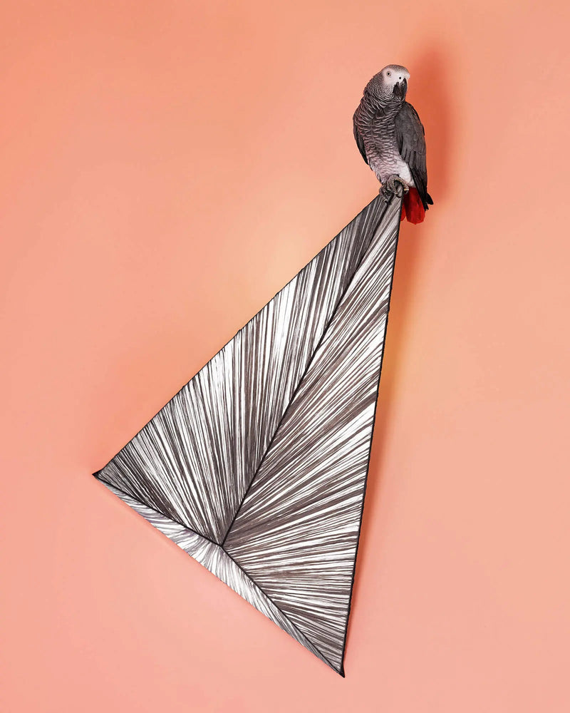 Zooid Wall & Ceiling Light